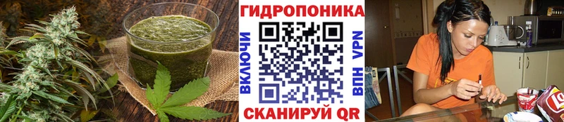дарк нет клад  Москва  Cannafood конопля 