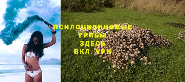 молекула духа Корсаков