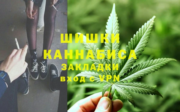 ALPHA PVP Козельск