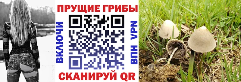 Псилоцибиновые грибы MAGIC MUSHROOMS  Москва 